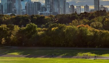 Toronto to launch pilot to permit food trucks, carts at select parks