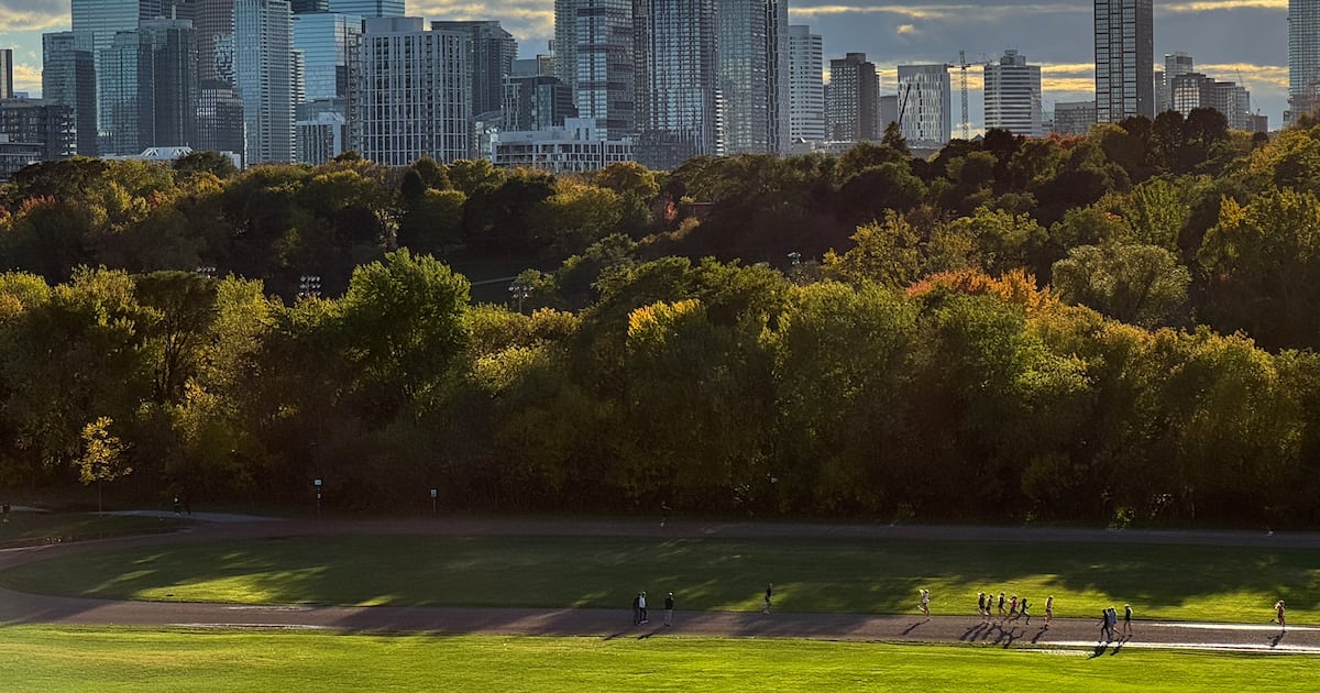 Toronto to launch pilot to permit food trucks, carts at select parks