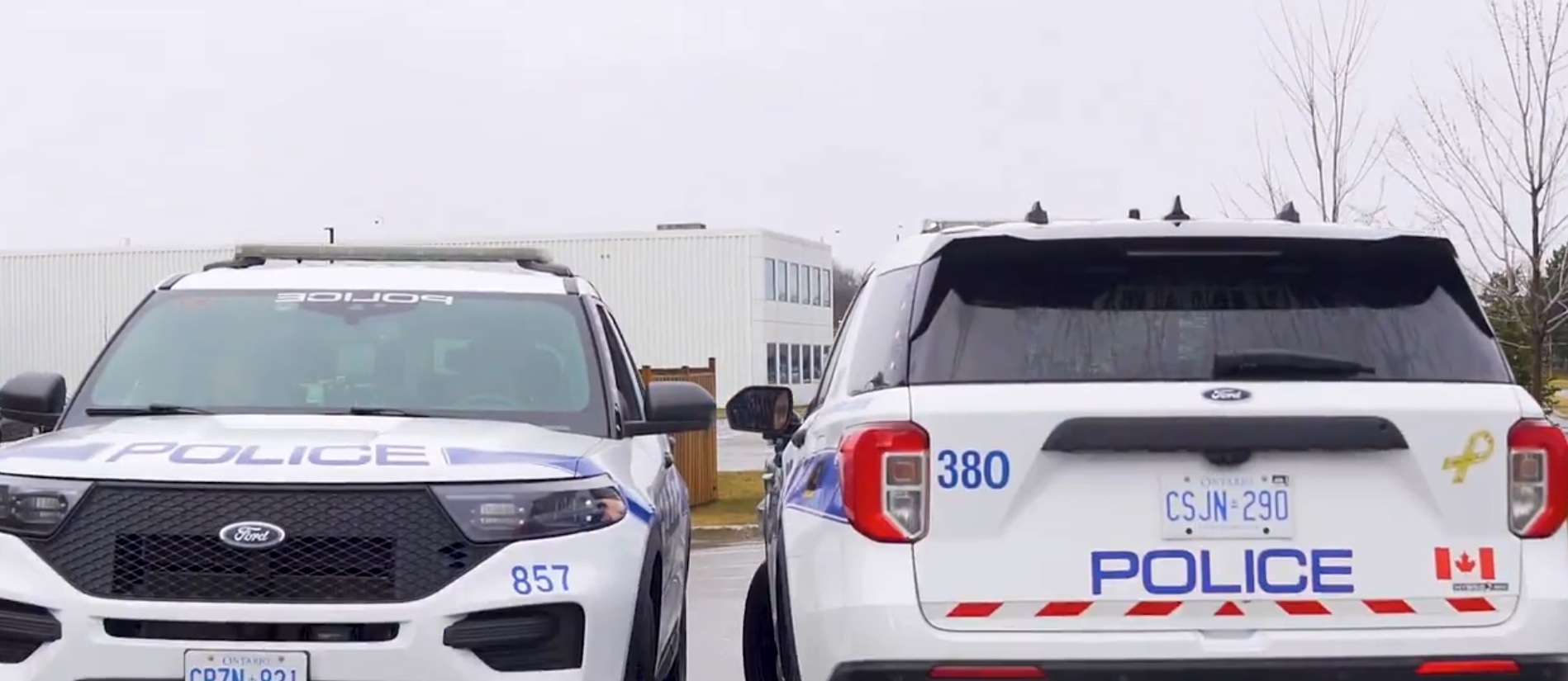 police search for driver of car after man struck and killed in mississauga.