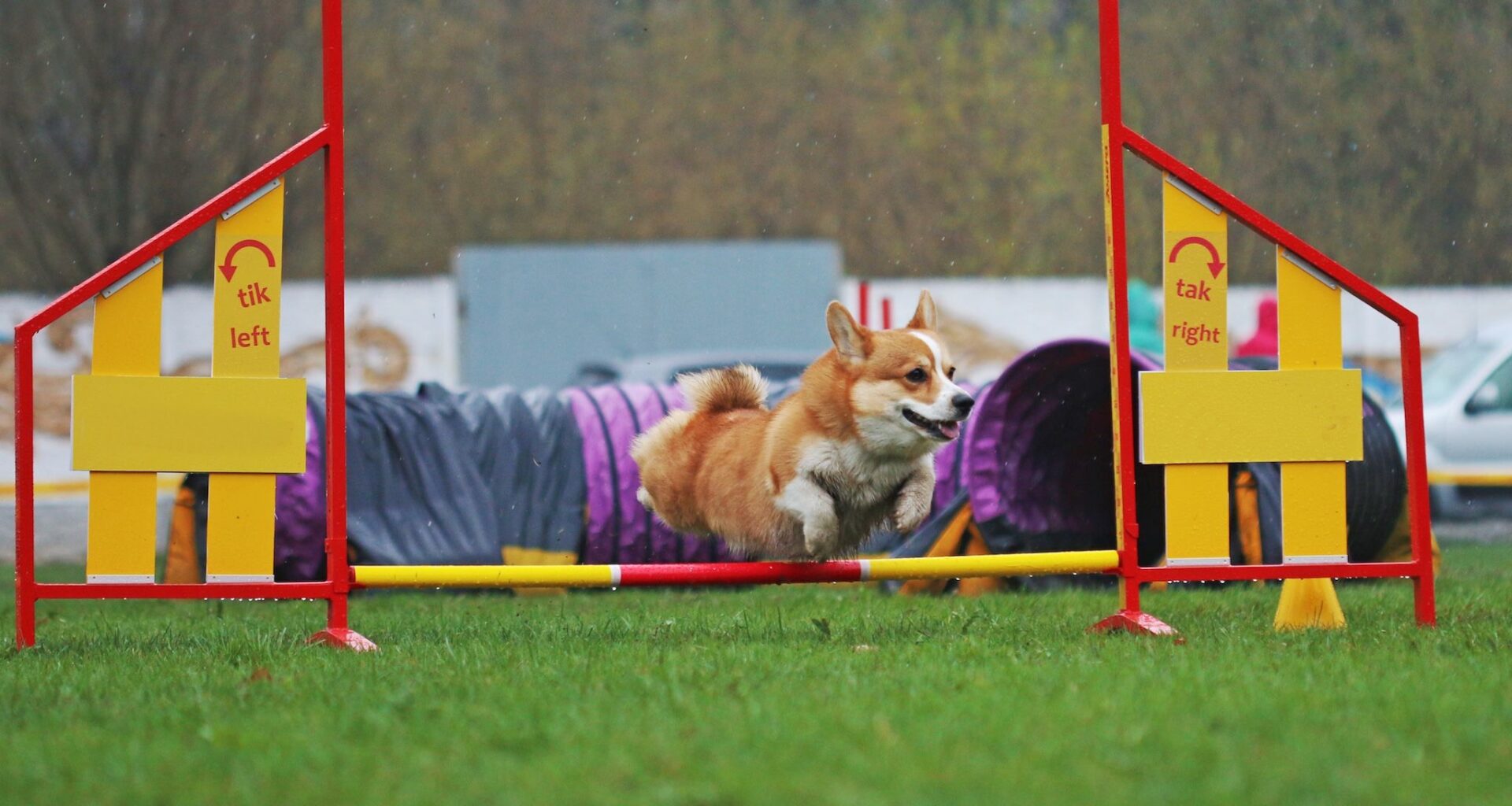 10 things to do in and around Calgary this weekend (April 24-26)