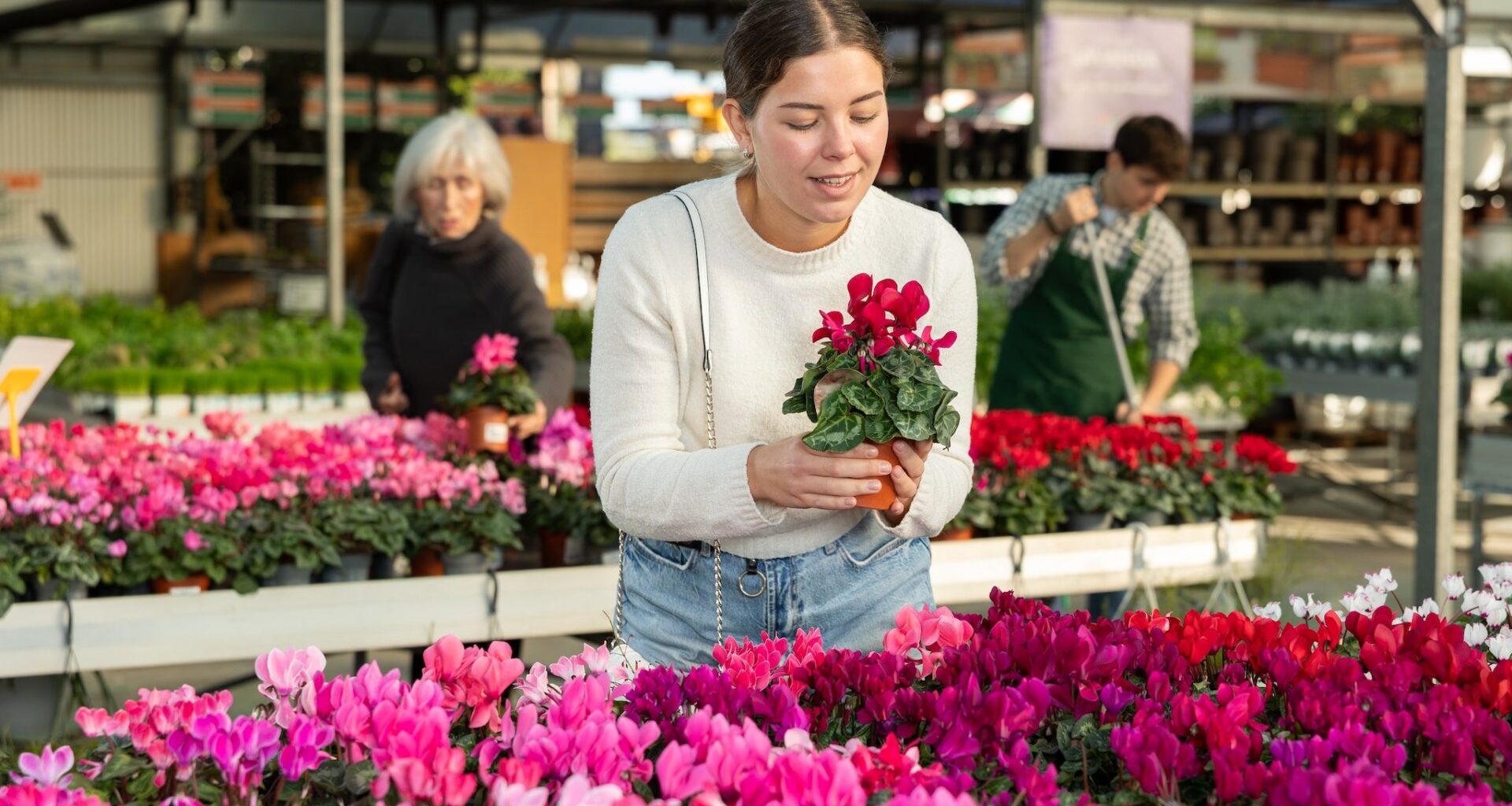 Where to find the best plants in Calgary for your home
