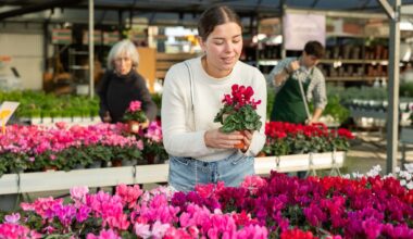 Where to find the best plants in Calgary for your home