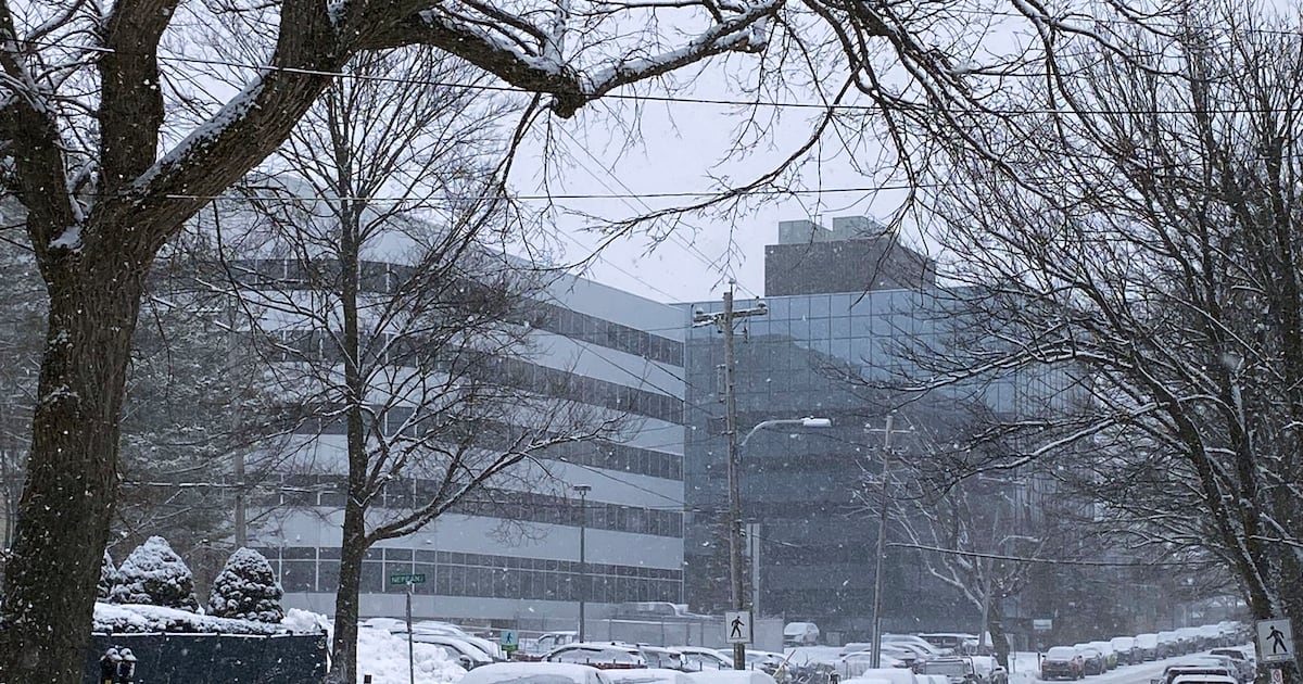 More spring snow for Nova Scotia Tuesday evening, night - CTV News