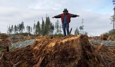 Quatse Creek. Photo by Joshua Wright.