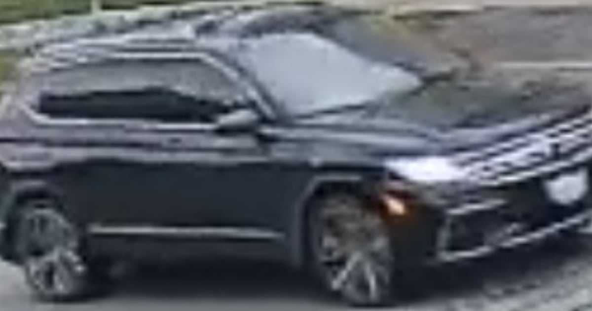 Toronto police seek 2 suspects in theft of ‘high-value trading card’