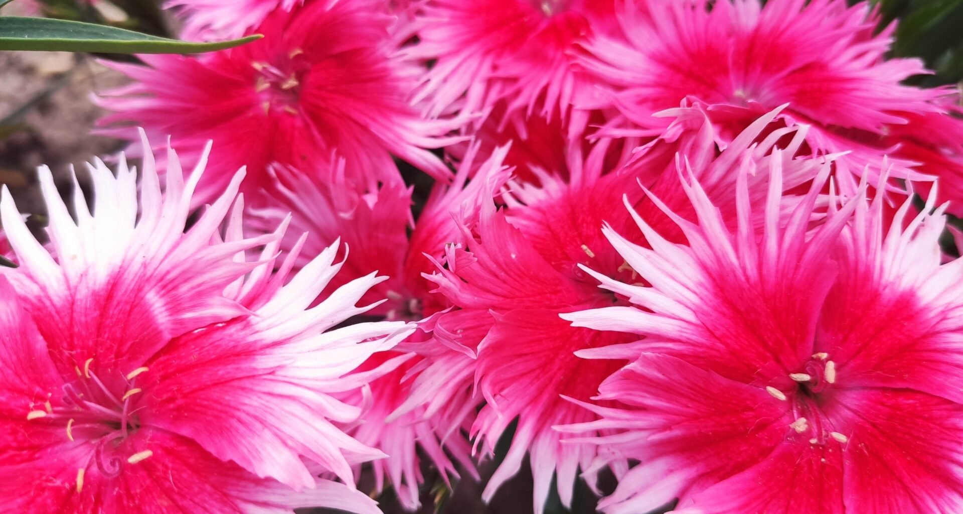 The latest winners on parade