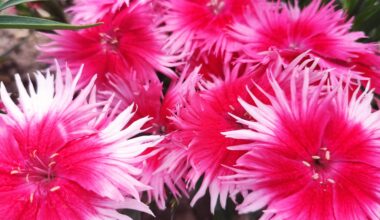 The latest winners on parade