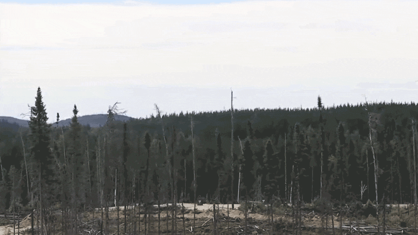 GIF of a small rocket blasting off in front of a forest.