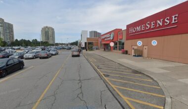 new owner of mississauga mall addresses safety and security problems.