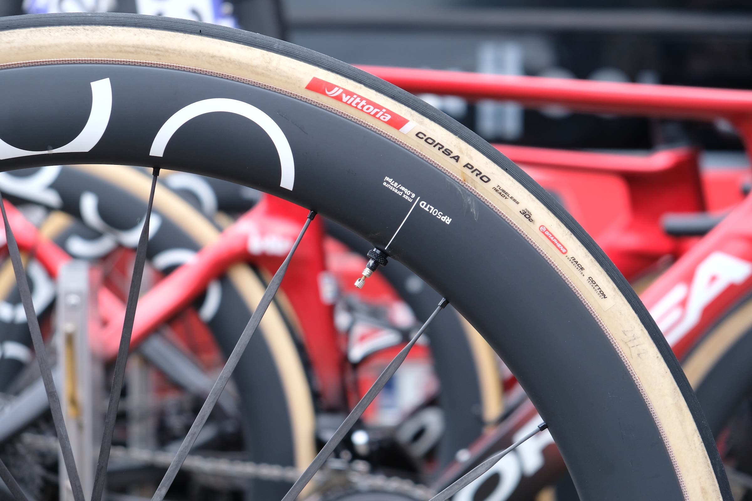 Tour of Flanders Tech Gallery 2026: New bikes and gear