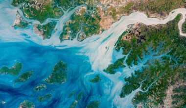 Estuaries near the coast of Guinea?Bissau branch out like a network of roots from a plant. With their long tendrils, the rivers meander through the country?s lowland plains to join the Atlantic Ocean. On the way, they carry water, nutrients, but also sediments out from the land. This natural?color image captures the movement of the sediments as the rivers move east to west. The image was acquired on May 17, 2018, by the Operational Land Imager (OLI) on Landsat 8. The discoloration is most apparent in Rio Geba, which runs past the country?s capital city of Bissau. https://science.nasa.gov/earth/earth-observatory/the-meandering-estuaries-of-guineabissau-92266/