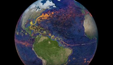 Key ocean current is slowing at locations around the Atlantic