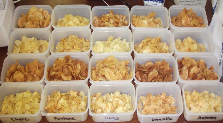Twenty crisp varieties in different shades of brown