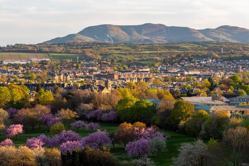 A scenic view of a town with blooming pink and white trees in the foreground, surrounded by lush greenery and hills in the background under a partly cloudy sky.