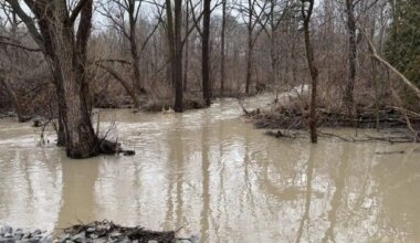avoid watercourses in mississauga due to flood risk.