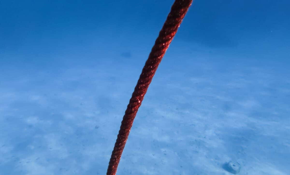 Scientists Dropped A 10 Kilometer Underwater Cable And It Detected 56,000 Hidden Events Beneath Glaciers