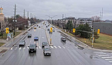 Ottawa could get 20-40 mm of rain