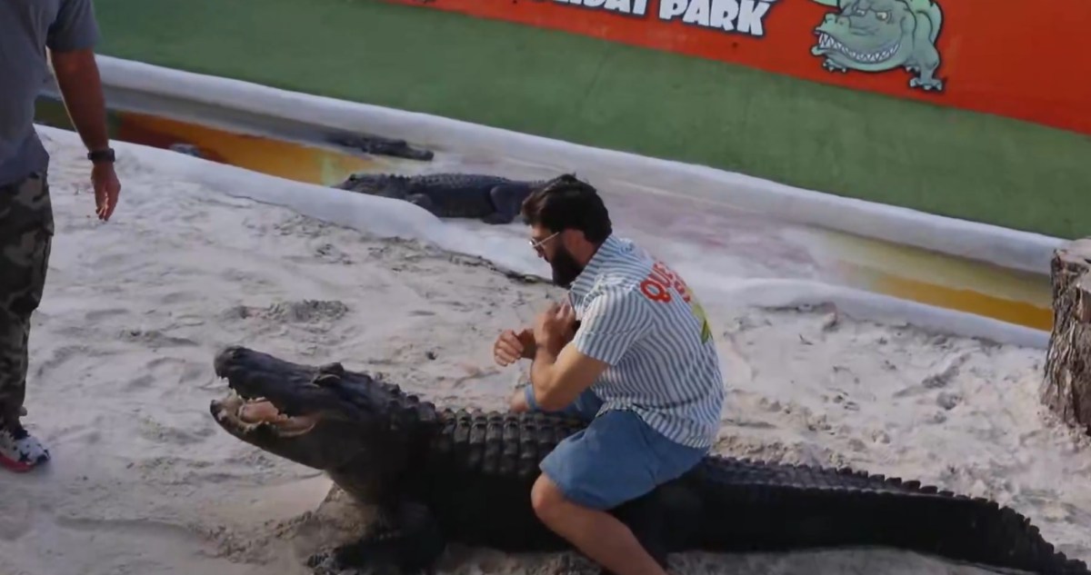 Weirdest side quest yet? Arman Tsarukyan wrestles ‘huge’ Florida gators