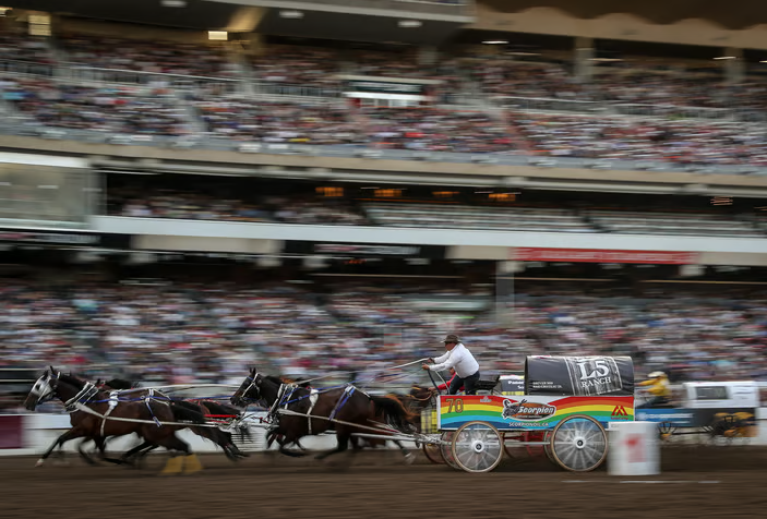 2026 Calgary Stampede canvas auction goes Thursday