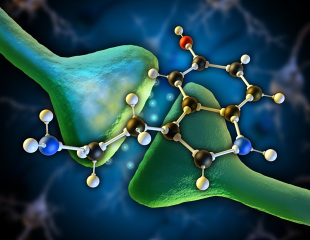 Serotonin may worsen tinnitus symptoms, mice study finds