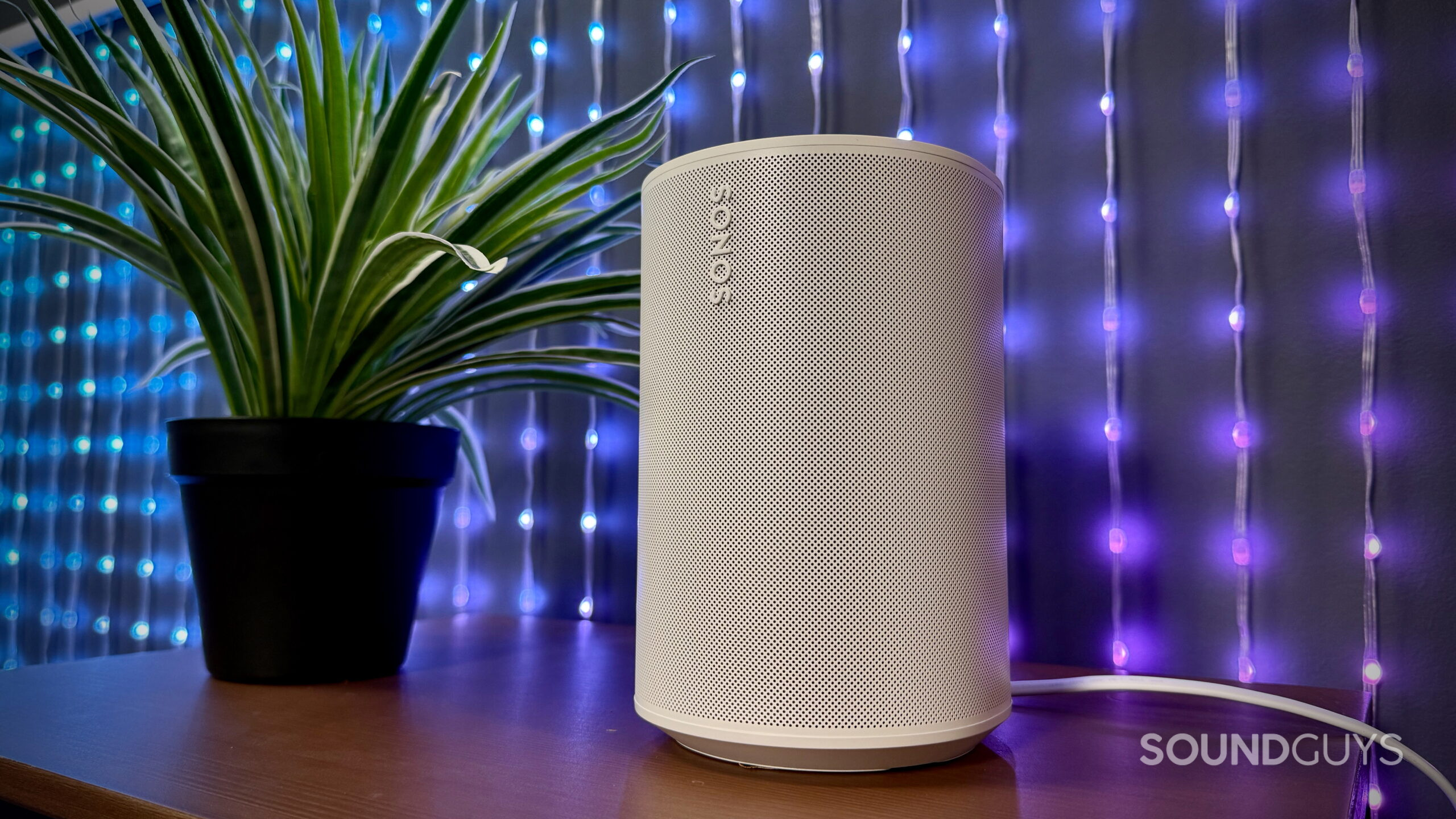 Sonos Era 100 SL smart speaker in white on a wooden desk next to a potted plant with blue and purple LED lights in the background.