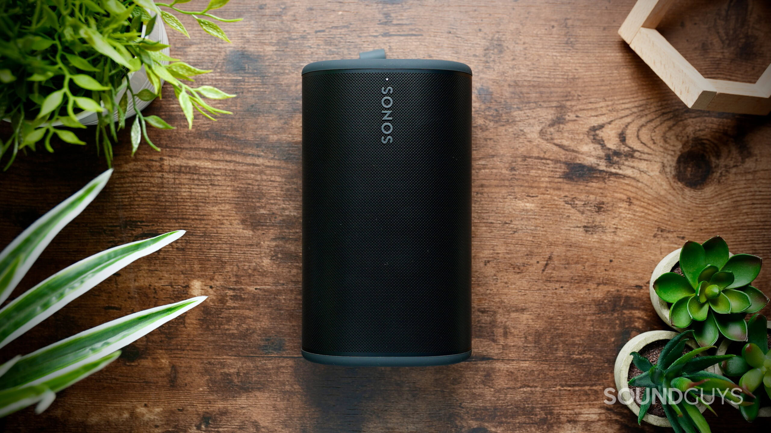 Top-down view of the Sonos portable speaker on a wooden table with houseplants.