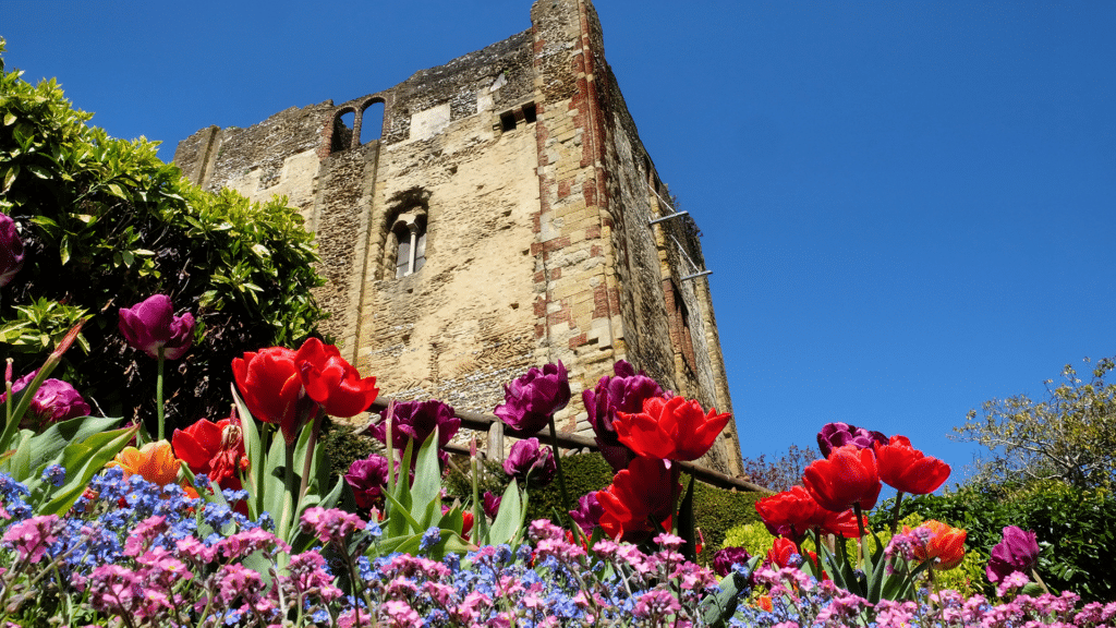 O2 brings next-generation 5G+ connectivity to Surrey