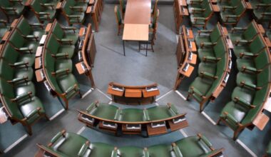 Half Surrey leaders not standing for shadow unitaries
