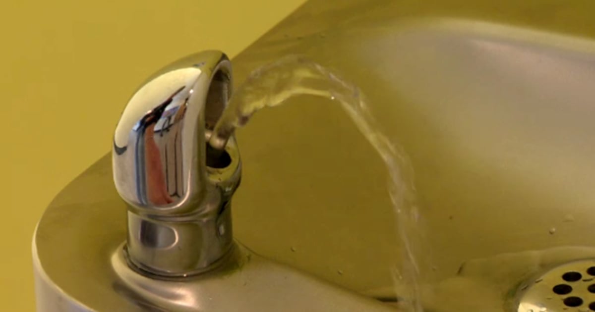 GTHA schools, boards have highest levels of lead in drinking water in Ontario: report