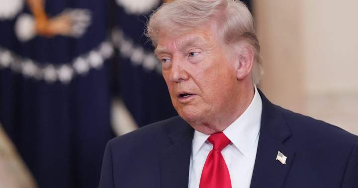 Trump hits some drugmakers with 100% tariffs, adjusts metal product duties - National