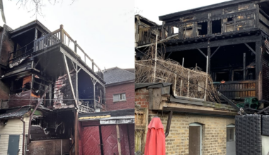 2 people taken to hospital, 2 dogs rescued