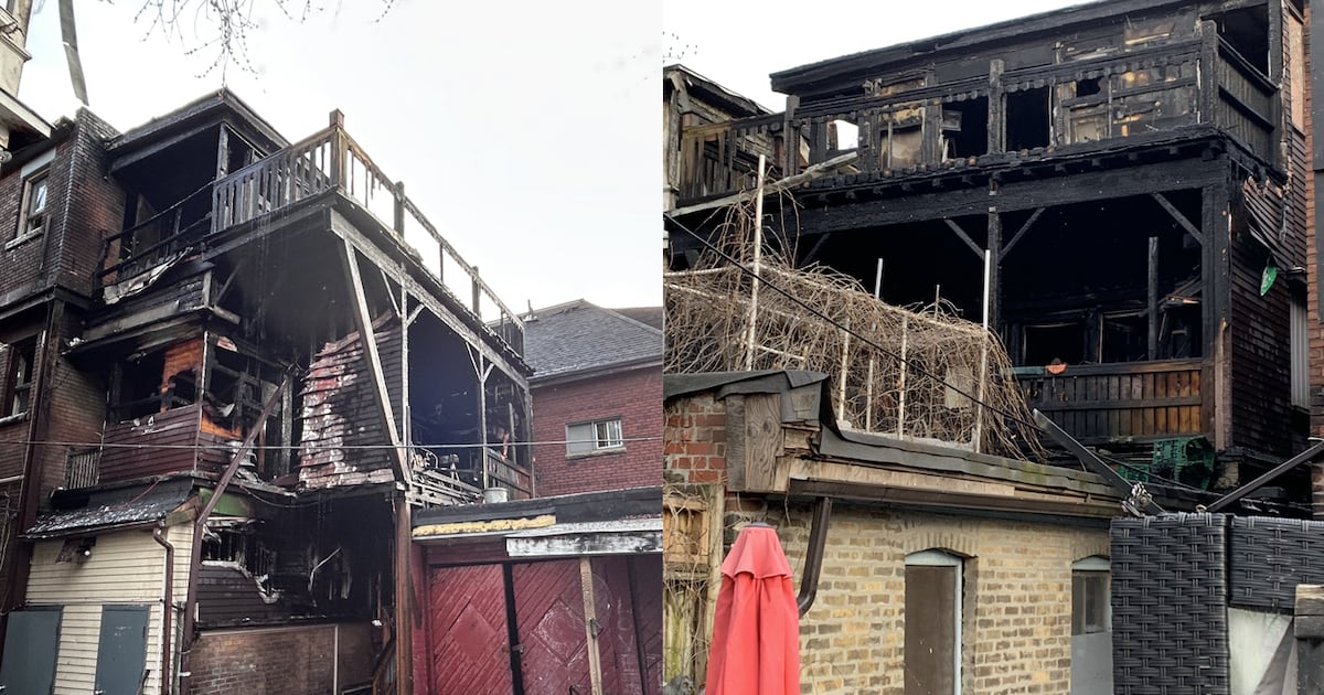 2 people taken to hospital, 2 dogs rescued