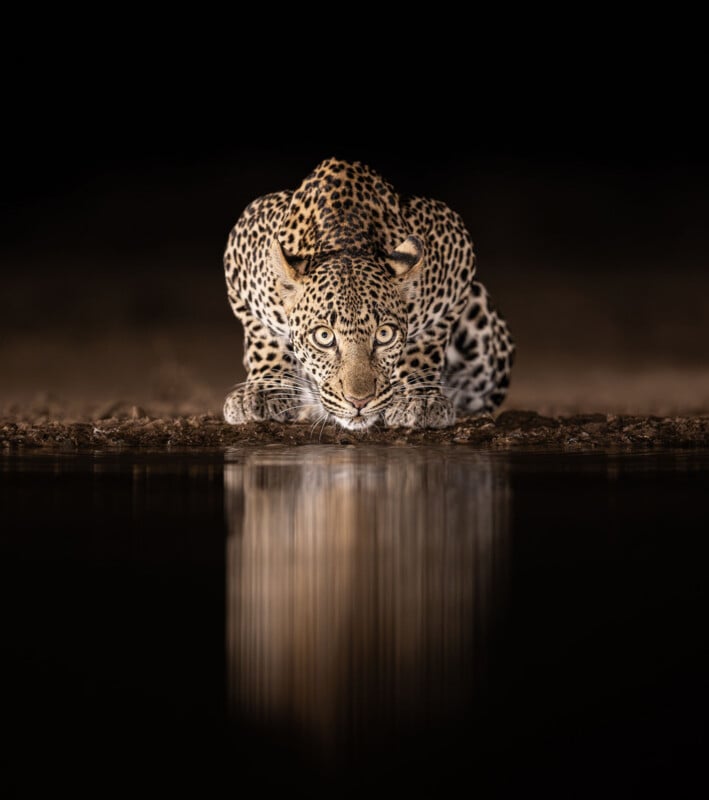 A leopard crouches low at the edge of a waterhole at night, staring forward, with its reflection clearly visible in the still, dark water below.