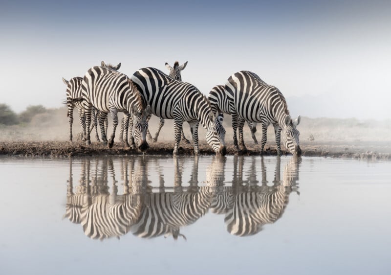 Five zebras stand and drink water at a lakeshore, their black and white stripes clearly reflected in the calm water beneath a blue and white sky. Sparse vegetation is visible in the background.