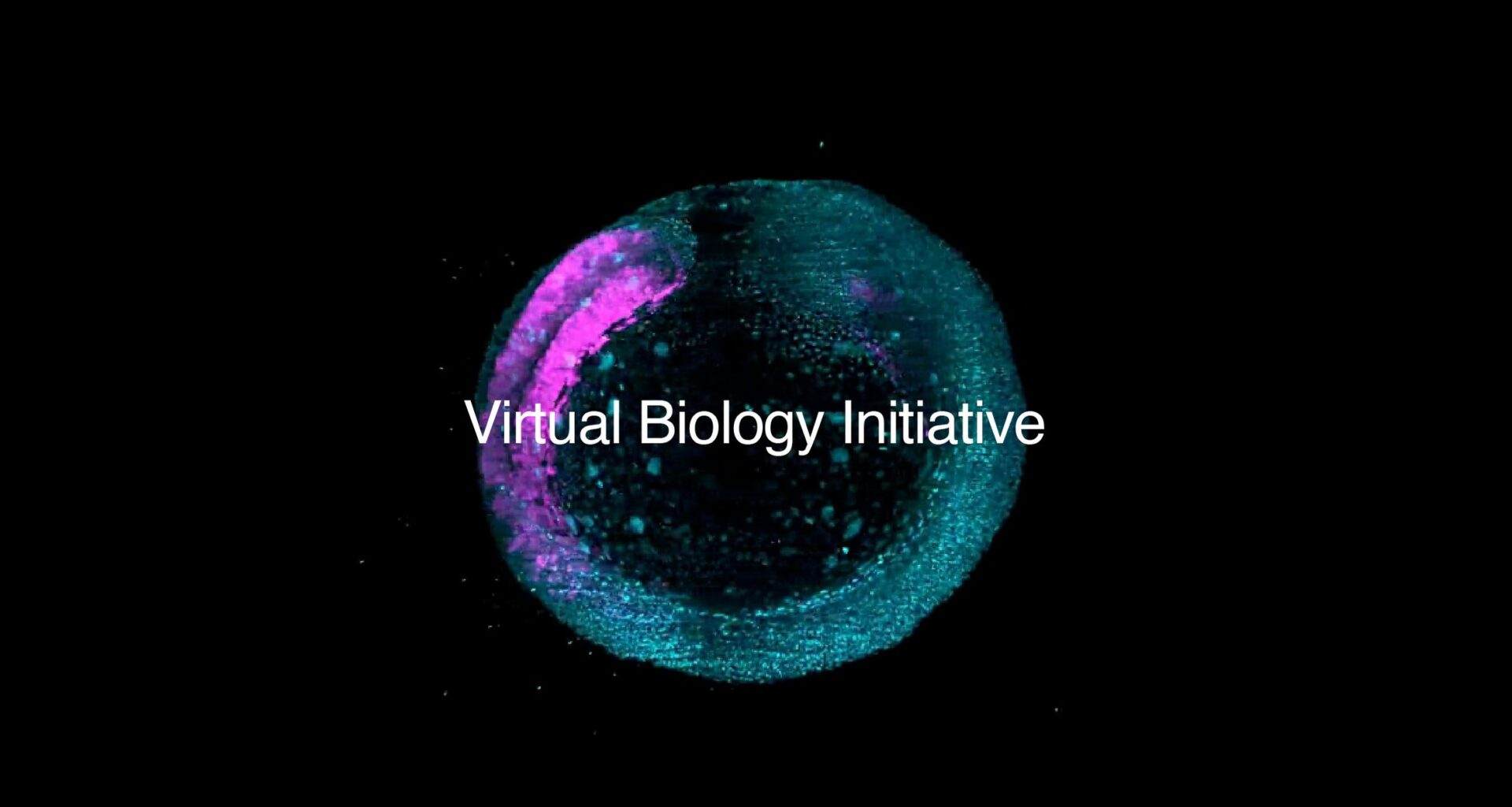 Biohub Launches the Virtual Biology Initiative to Galvanize a Global Effort to Create the Open Data Foundation for AI-Accelerated Biology