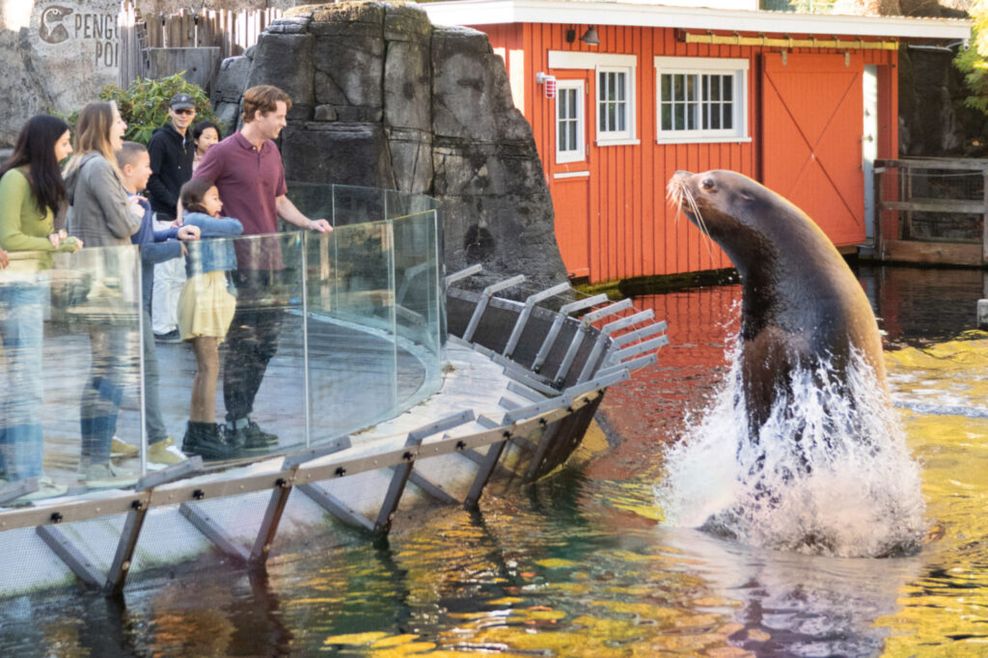 Vancouver Aquarium