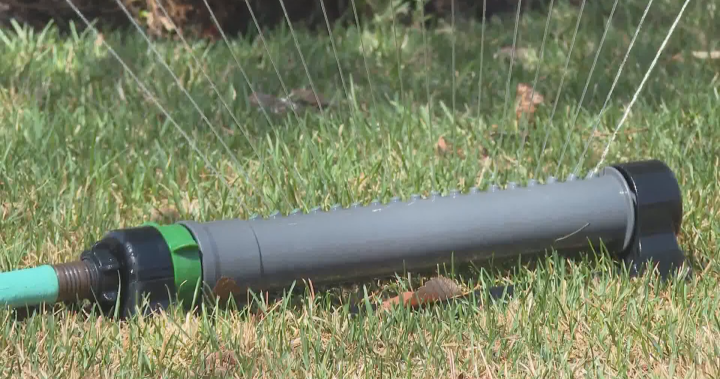Calgary city council approves outdoor watering schedule as part of demand reduction plan - Calgary