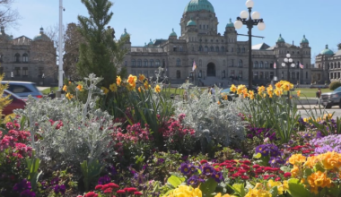 Confidence vote could trigger spring election campaign in B.C. - CTV News