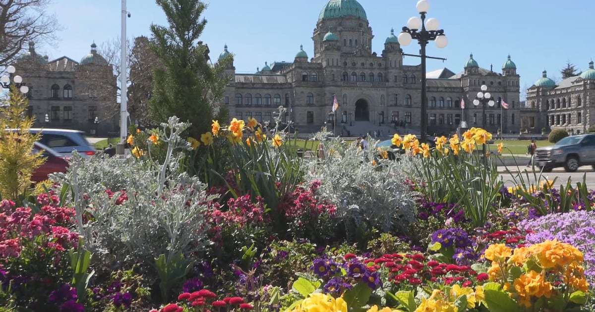 Confidence vote could trigger spring election campaign in B.C. - CTV News