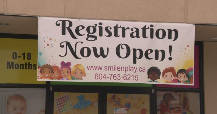 Abbotsford daycare owner pleads not guilty to assaulting children in her care - BC