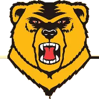 Western New England University