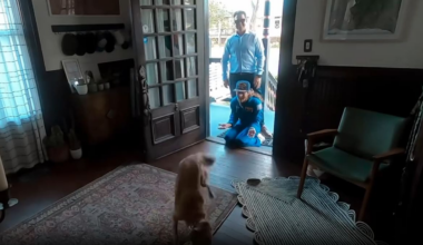 Christina Koch shares viral video of dog’s reaction after Artemis II trip