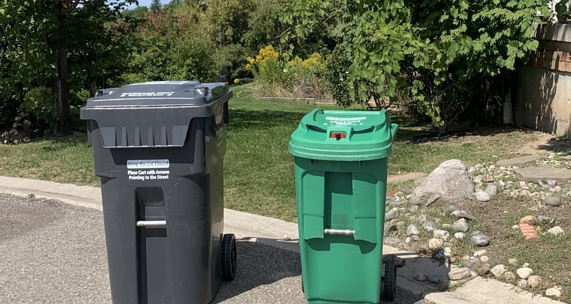 Photo of a waste bin and organics bin outside for collection.