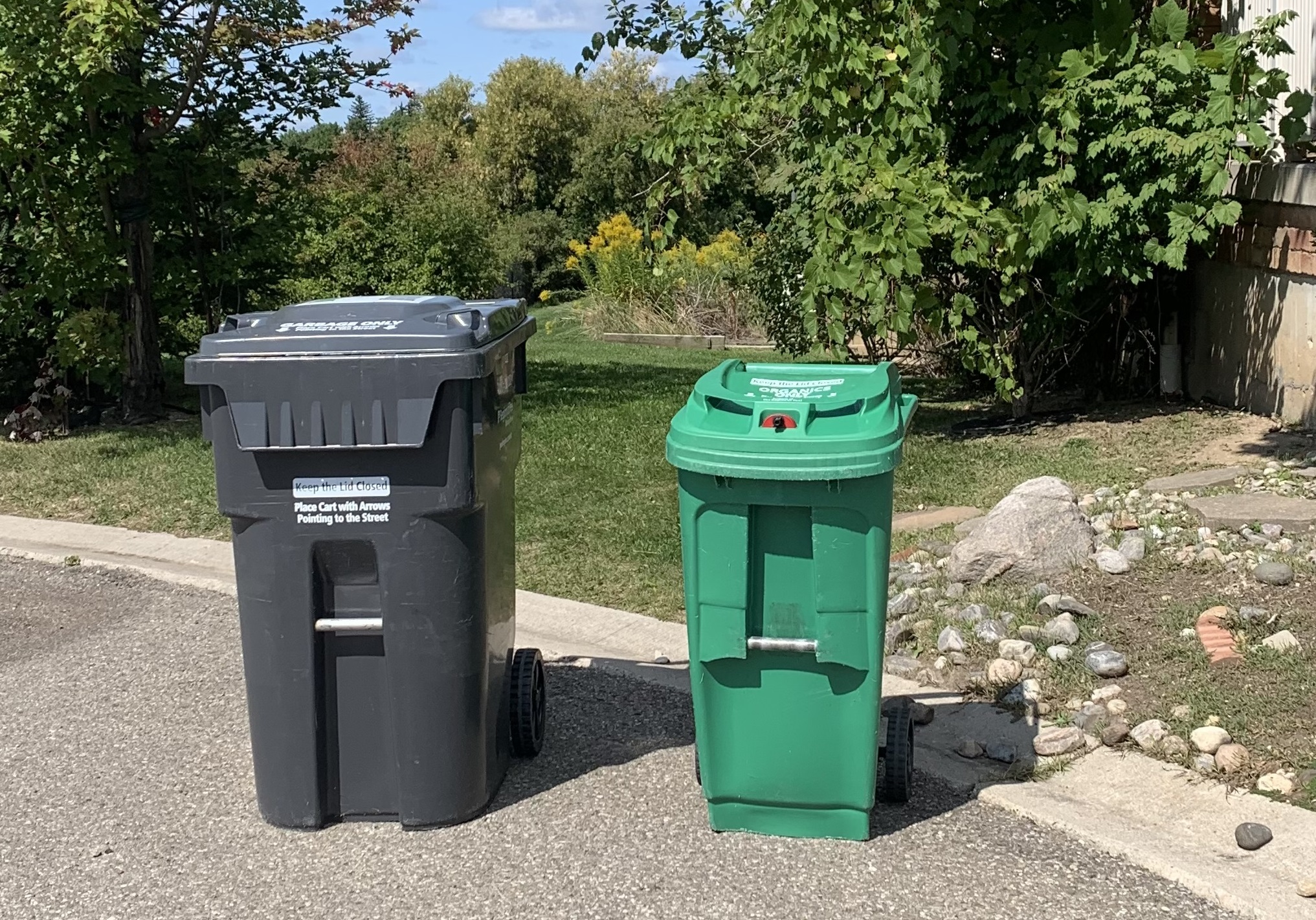 Photo of a waste bin and organics bin outside for collection.