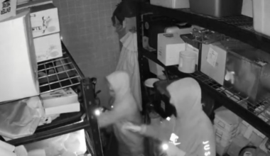 RCMP search for suspects after break-in at golf course west of Brandon
