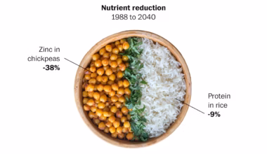 Carbon pollution is making food less nutritious and risking health of billions