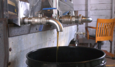 Maritime maple syrup producers concerned over production levels - CTV News