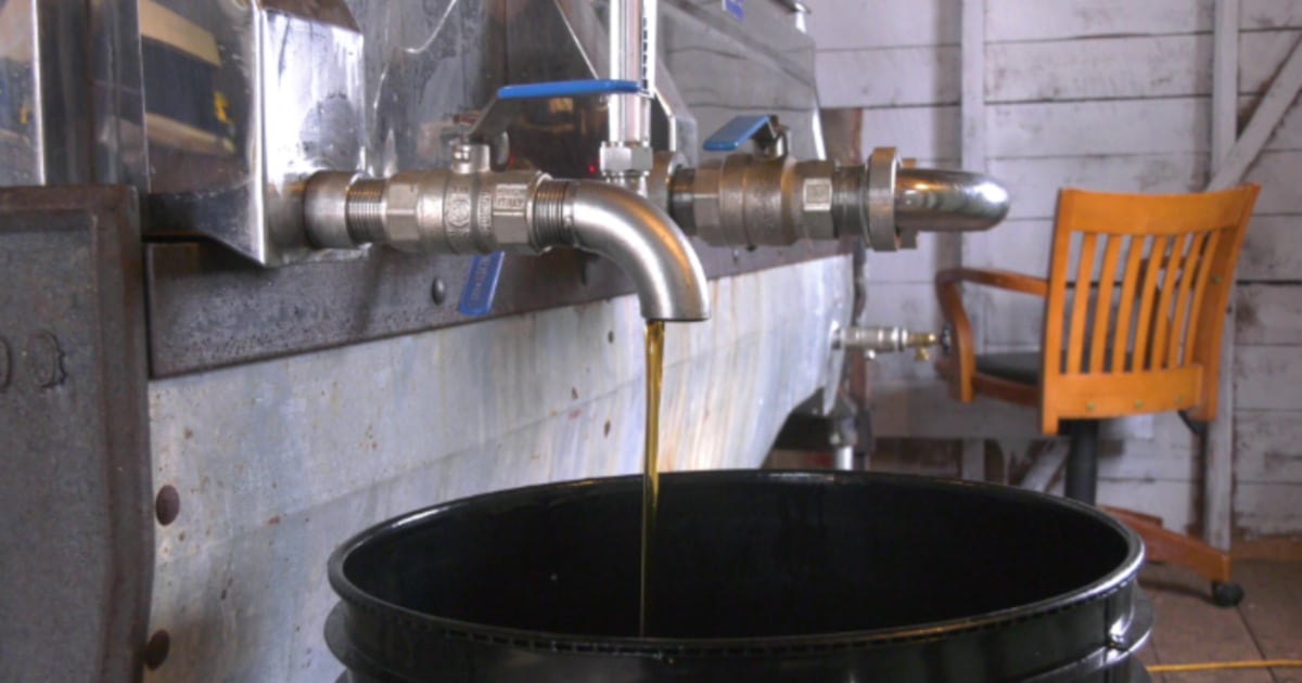Maritime maple syrup producers concerned over production levels - CTV News