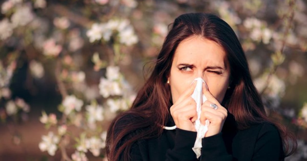 Why Windsor is Canada’s worst place for allergy sufferers