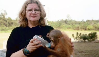 Primatologist Dr. Biruté Galdikas was a leading voice for the protection of orangutans